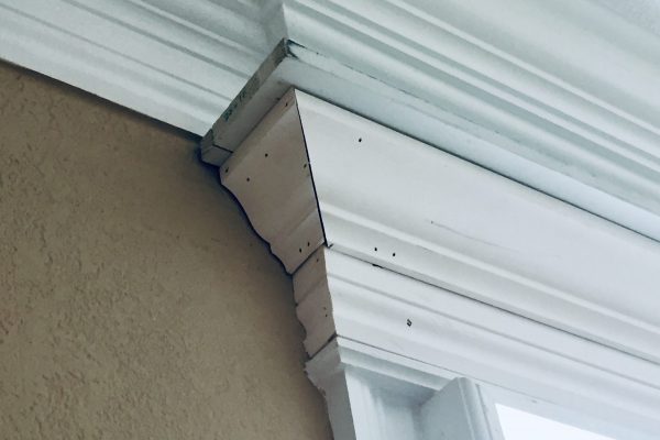 Crown Moulding Ceiling Trim